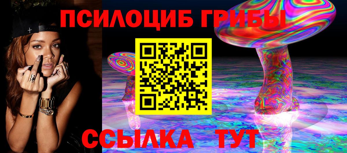 ГАШ Дубна